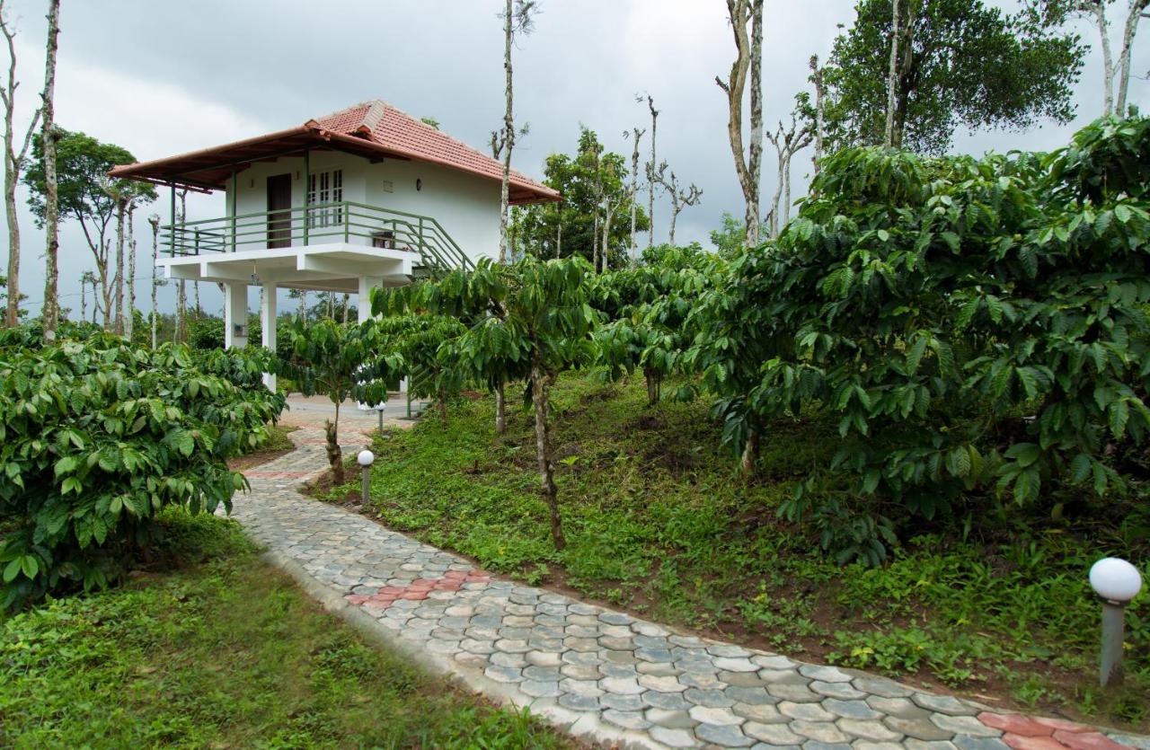 The Suvistara Wayanad Kerala Bed & Breakfast Meenangadi Dış mekan fotoğraf